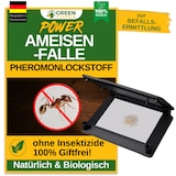 thumbnail of Ameisen Falle mit Pheromon-Lockstoff: 10