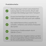 thumbnail of 4x Profi Spanngurt Gurt Zurrgurt Klemmschloss 1-tlg 5m 250 kg Anthrazit inkl. Tasche