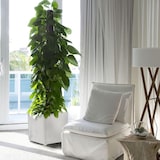 thumbnail of Vaso quadrato grigio 50L 40x40cm - Fioriera da esterno balcone terrazza giardino ARTPLAST