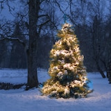 thumbnail of Konstsmide Micro LED Büschellichterkette "Cluster", mit 8 Funktionen, 576 bernsteinfarbene Dioden, 36V, Außen (IP44), schwarzes Kabel - 3861-800