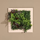 thumbnail of CUADRO VEGETAL ARTIFICIAL Naturing Monde ANNE - 33 x 33 cm