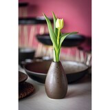thumbnail of LE COQ Phobos Schale, Höhe: 70 mm, ø: 150 mm, weiß, blau