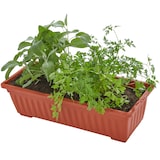 thumbnail of Vertikalbeet mit 4 Kästen 52x21x127cm - braun