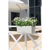 thumbnail of LECHUZA BALCONERA Cottage 50 Outdoor Pflanzgefäß Wand-montiert Polypropylen (PP) Grau