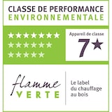 thumbnail of FUNDICIO – Gusseiserner Holzofen Modell LAVA 12,5 kW – ECODESIGN