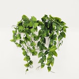 thumbnail of LIGNE DÉCO Plante succulente retombante artificielle 50cm lot de 2