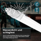 thumbnail of LUXULA LED Feuchtraumleuchte LX200142 48 W 4000 K neutralweiß IP65