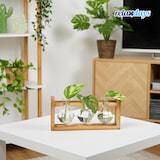 thumbnail of Relaxdays Reagenzglas Vase, geometrische Glasvasen Ständer, Blumen & Pflanzen, HxBxT: 13x28x6,5 cm, transparent/natur