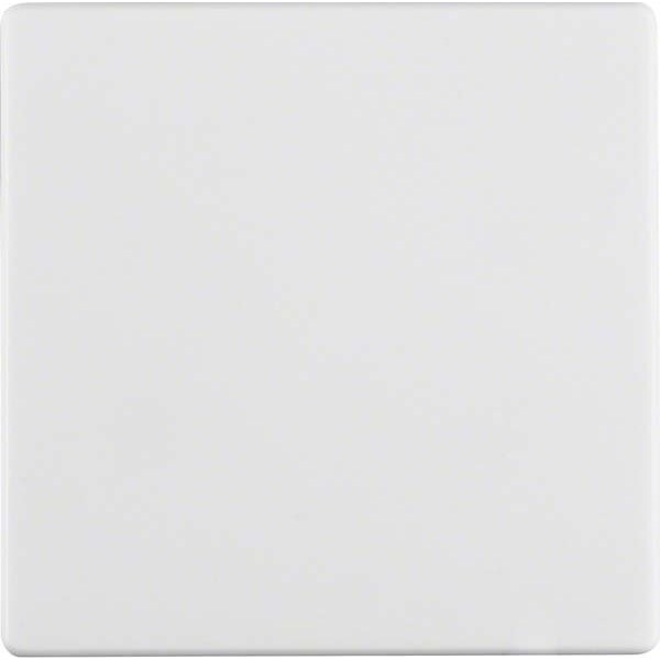 Berker Wippe polarweiss, samt 16206089