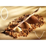 thumbnail of GN 1/1 Flexipan ® Mat Quenelle vorm