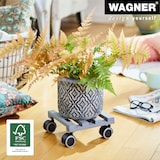 thumbnail of WAGNER Pflanzenroller CREO 19 x 19 x 8 cm, für innen, Buchenholz, grau, Softrollen, Tragkraft 50 kg, EU Ware - 20080901