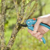 thumbnail of GARDENA Gartenschere A/S 0885520