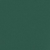 thumbnail of vidaXL Seitenmarkise Ausziehbar Dunkelgrün 160x300 cm