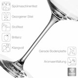 thumbnail of Leonardo PUCCINI Sektglas 0,1 l geeicht 6er Set "Gastro-Edition"