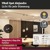 thumbnail of Paulmann URail Schienenspot 3-Step-Dim Alejandro800lm 10W 3000K dimmbar 230V Chrom matt 94959