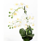 thumbnail of VERT ESPACE plante artificielle phalaenopsis en pot 3 tiges 60 cm
