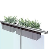 thumbnail of Prosperplast - RATO CASE W Balkonkasten - 58x18x19,5cm in Mokka farbe
