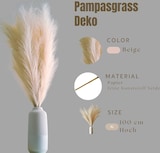 thumbnail of LAYBA Künstliches Pampasgras 3er-Set Beige 100 cm