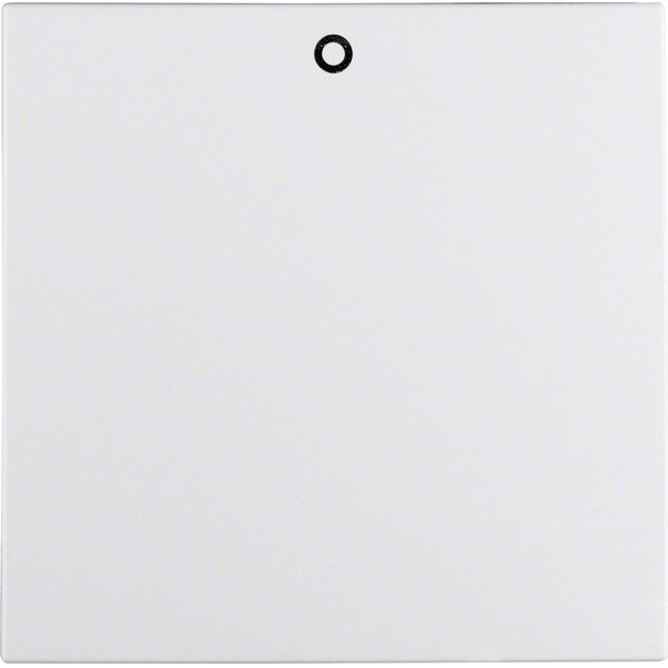 Berker Wippe 16291929