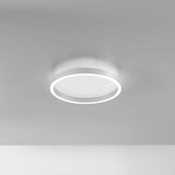thumbnail of AELA P/P LED-Deckenleuchte 36 W Doppelabstrahlung 1800–1900 lm 3000 K/4000 K Satiniertes Aluminium Weiß Dimmbar Phasenanschnitt - Gealuce