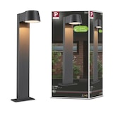 thumbnail of Paulmann Borne lumineuse LED Capea favorable aux insectes IP44  500mm 2200K 6W 450lm 230V 98° Anthracite  Aluminium 94715