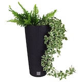 thumbnail of Polyrattan Pflanztopf 57,5x30cm Blumentopf Pflanzkübel Übertopf Blumenkübel