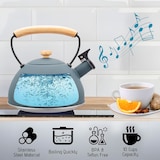 thumbnail of Briebe Nordic Wasserkessel Induktion Flötenkessel 2,5L Edelstahl, Holzgriff, Grau