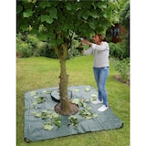 thumbnail of Maximex Multi-Plane Profi