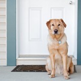 thumbnail of Relaxdays Fußabtreter Gusseisen mit Bürsten, BxT: 72x46 cm, Jugendstil Schuhabstreifer, Metall, Anti-Rutsch, bronze