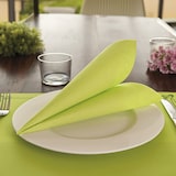 thumbnail of Guardanapos Ecolabel 'Double Point' 18 G/M2 33X33 Cm Tecido Verde Anis (1200 unidades)