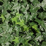 thumbnail of Jardín Vertical Artificial SALVAJE. NATURING MONDE 100x100cm.  100% HDPE.