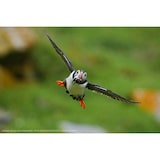 thumbnail of Sony Alpha 6700 | Spiegellose APS-C Kamera mit KI-Autofokus, 5-Achsen-Stabilisierung & 4K 120p Video