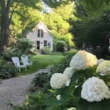 thumbnail of Hortensia - Hydrangea Strong Annabelle Set de 2 Hauteur 30-40cm