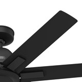 thumbnail of DC Deckenventilator Sahira Schwarz mit Fernbedienung