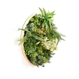 thumbnail of CUADRO VEGETAL ARTIFICIAL Naturing Monde ALICE - 50 cm diámetro