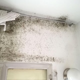 thumbnail of Pittura termica anticondensa (4l, bianco) - Isola e protegge dall'umidità di condensa