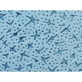 thumbnail of SemyTop Semy Profi Putztuchrolle 32 cm - blau - 500 Blatt - 2 Rollen