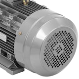 thumbnail of MSW Drehstrom-Asynchronmotor - 3 Phasen - 5,5 kW - 2950 U/min - 230/400 V - IE3