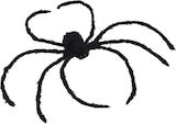 Eine schwarze Spinne mit roten Augen.