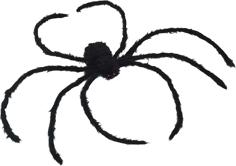 Eine schwarze Spinne mit roten Augen.