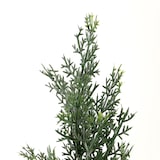thumbnail of Planta artificial / árbol artificial CEDRUS 152 cm verde hjh OFFICE