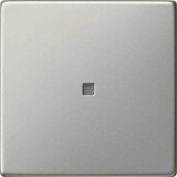 thumbnail of System 55 Kontrollwippe, Schalter/Taster, edelstahl, ohne ISO Aufdruck