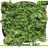 thumbnail of BALI | Paneles Pared Selva Artificial | Plantas Artificiales Montaje en Pared Selva Tropical | Paneles Pared Hostelería Peluquería Interior Exterior