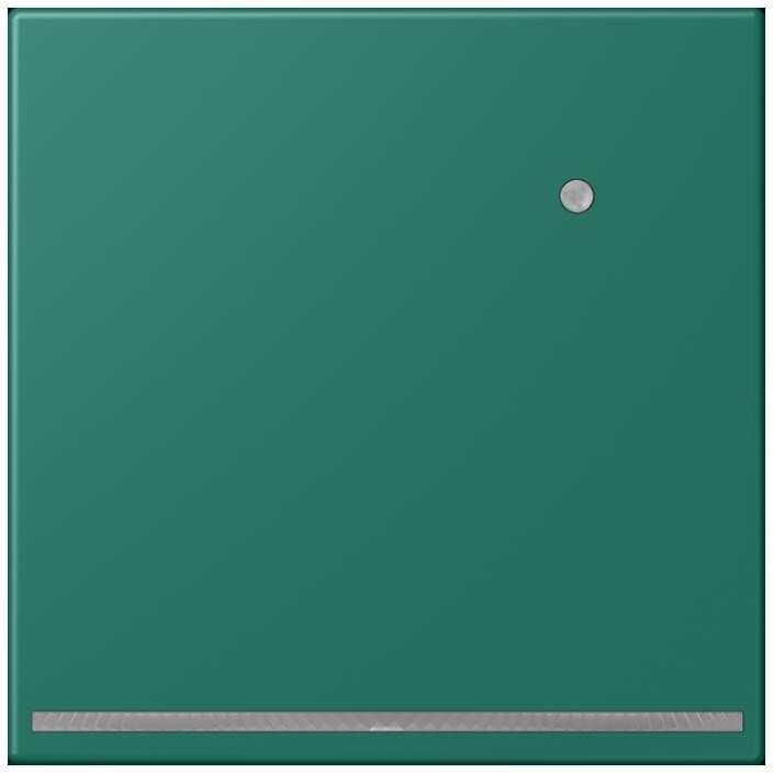 Jung LED-Orientierungslicht LC 1539-O LNW 216 LC1539-OLNW216