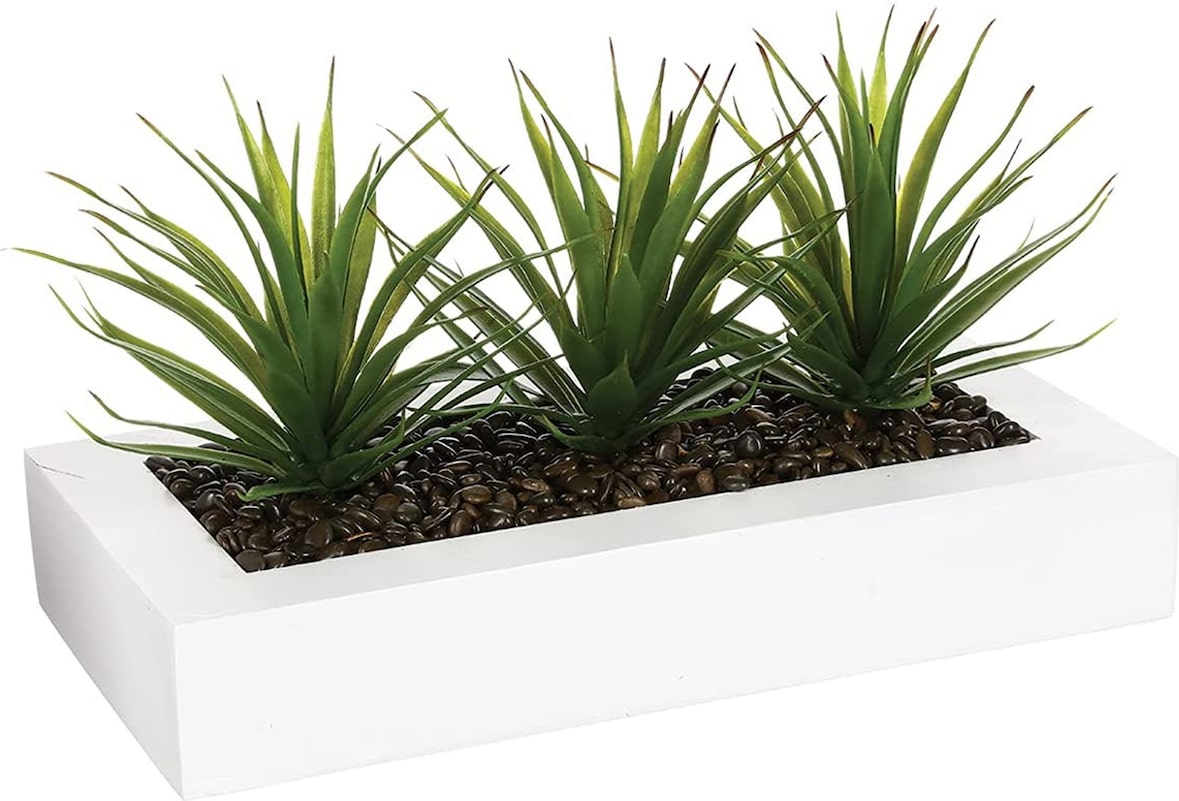 WellHome - Dekorativer Tafelaufsatz mit 3 Aloe Vera Pflanzen 17cm