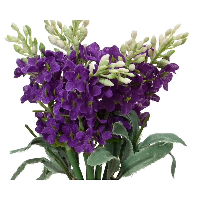 mobile_image