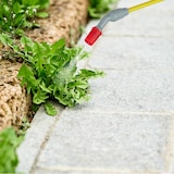 thumbnail of Relaxdays Drucksprüher, 5 l, Pflanzenbewässerung & -schutz, verstellbare Düse, Skalierung, Pumpsprühgerät, weiß-grau