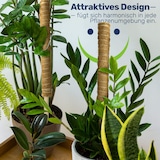 thumbnail of Erweiterbare Pflanzenstütze mit Kokosfilz – Rankhilfe 60 cm