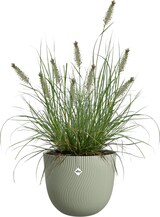 thumbnail of Elho Sereh Pflanztopf Rund Ø 30 cm Skandinavisch Grün UV-beständig
