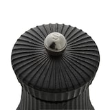 thumbnail of Salzmühle mit Edelstahl Mahlwerk IRON CRUSH, Höhe 9,5 cm, schwarz, Gusseisen